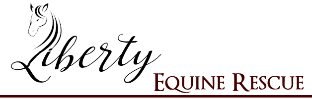 Liberty Equine Rescue